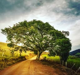 Foto de Marcos Correia 